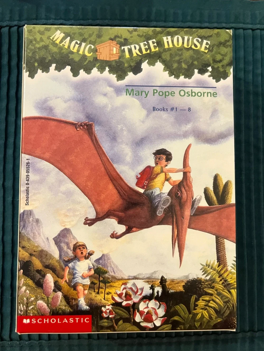 Scholastic Magic Tree House Book Set - Green, Red & Brown Covers